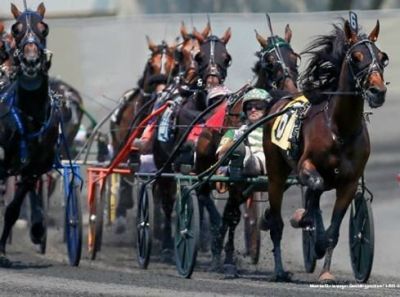 New task force at The Meadowlands