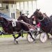 Ascot Park harness racing action