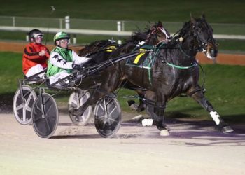 Door opens for Sense Of Occasion