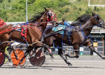 Something Reel legit in feature