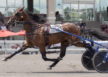 Perfect Sting placed first in dramatic PaSS