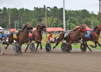 Western Maverick foals dominate in Maine
