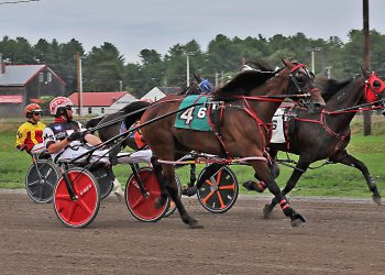 Daliocity upsets in Cumberland feature