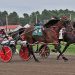 Daliocity upsets in Cumberland feature