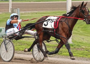 Maine-bred colts headlined at Cumberland