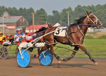 Patanjali N upsets in Maine Legends final