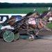 Big upsets in Meadowlands Pace elims