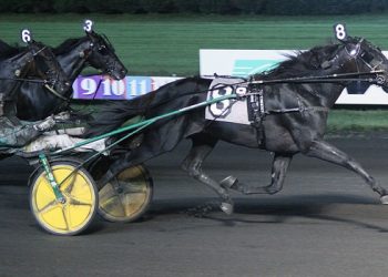 $250,000 Graduate Trot to Ready For Moni