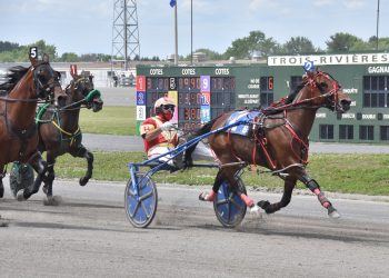 Jans Legacy back at Hippodrome 3R Sunday