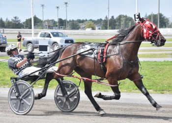 Littlebitaswagger romps in 1:54.1