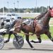 Littlebitaswagger romps in 1:54.1