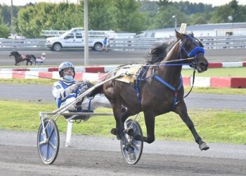 Unbeaten Stella Alpha keeps on trotting
