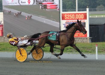 New Zealand import wins first start in USA