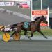New Zealand import wins first start in USA 2 New Zealand import wins first start in USA