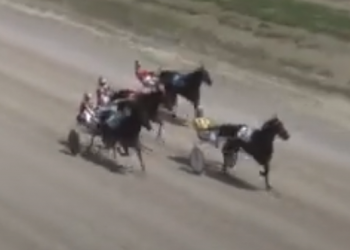 Top marks for A Positive Hanover, Rankin