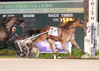 Cullipher, Widger clutch in stakes action