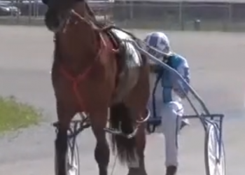 Acefortyfourtalon trumps top condition foes