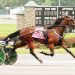 Track record set in $156,600 NYSS