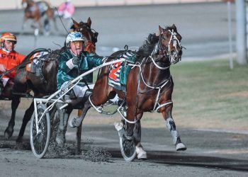 American Dealer on the move