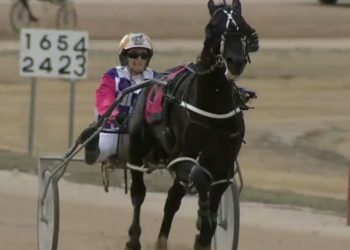 Country trained star on comeback trail