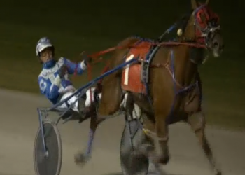 Brodys Scrapper resurging at ten