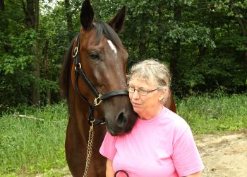 Call Me Maverick quietly controls top spot