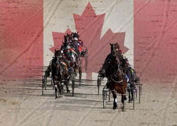 Canada Day: Mohawk Park to open to fans