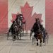Canada Day: Mohawk Park to open to fans 2 Canada Day: Mohawk Park to open to fans