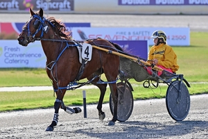 Strong duo take out Pinjarra feature