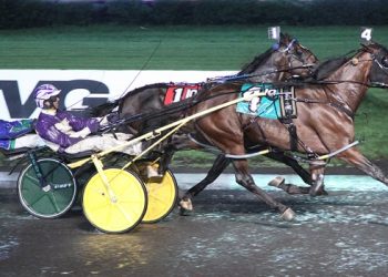 Haughton divisions to Allywag Hanover, Cattlewash