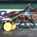 Tara Hills Stud to stand Cattlewash 2 Haughton divisions to Allywag Hanover, Cattlewash