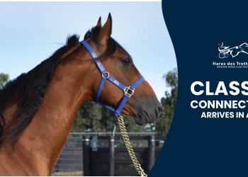 First shuttle stallion to arrive