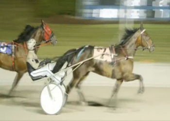 Cool Muscle powers by seven