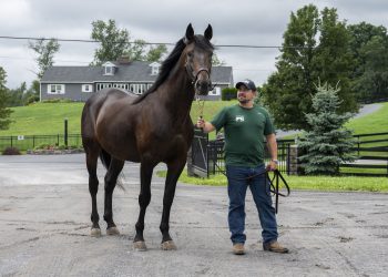 Coraggioso to stand stud in New York