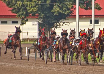 Maine amateurs set for Saturday tilt