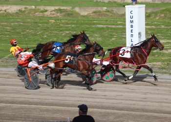 Cumberland hoping for million dollar handle