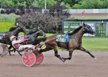 After All Paul goes the distance