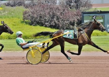 Jackson wins three of four 2yo dashes