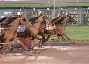 Down under import takes fourth straight