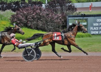 Keg Stand highlights PA All-Stars card