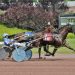 Marcus Miller nails four at The Downs
