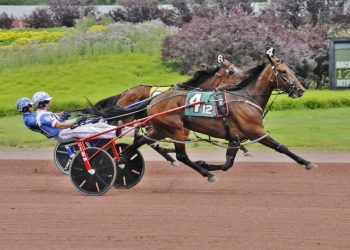 Pacing distaff action at The Downs