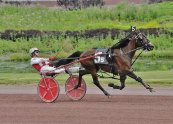 Career best mark set by Somebeach Baron