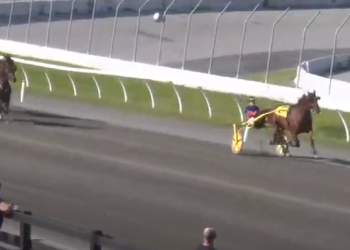 French import successful at Kawartha