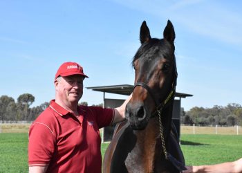 Big M classic winner’s Aussie connection