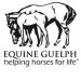 Equine Journalism online course