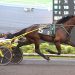 $201,200 Ontario Sires Stakes Gold opener