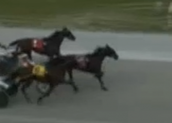 Regal upset from Esquire