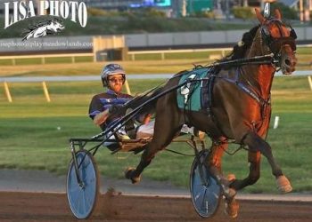 Eurobond sale topper at Tattersalls