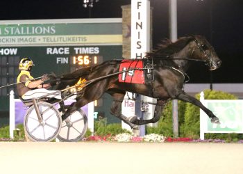 Freshman trotting fillies feature in ISS